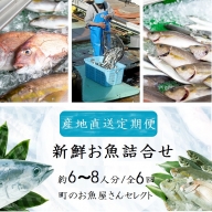 【6回定期便】魚屋さんの選んだ新鮮お魚詰め合わせ（約6～8人分）