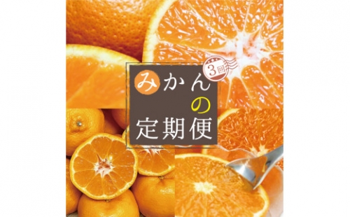 【3か月定期便】人気の柑橘を集めた！みかんの定期便 392793 - 和歌山県すさみ町