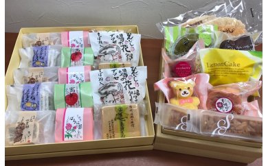 信州坂城が誇る銘菓　和菓子と洋菓子の詰め合わせセット 392801 - 長野県坂城町