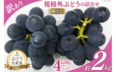 訳あり 山梨県産 種なし ぶどう 500g×4p 約2kg [梨北農業協同組合 山梨県 韮崎市 20743331] ブドウ 葡萄 規格外 家庭用 食べ頃 旬 フルーツ 果物