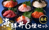 【純国産】数量限定！海鮮丼の具の贅沢６種類セット（無添加仕様）