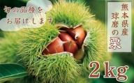 【発送時期：2024年8月下旬～10月上旬】熊本県ＪＡくま産　球磨の栗　2kg(2L以上　旬な品種)