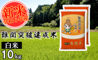 [令和6年産]難関突破達成米 白米 5kg×2 精米 熊本県 南関町産 単一原料米 ヒノヒカリ 産地直送 コメ お米 祈願米