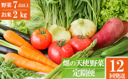 一度の手続きで、月に1回、12ヶ月間配達されます。旬の野菜（7〜9品）・自慢の南関米（2kg）をお客様の食卓にお届け!自分の子や孫に、喜んで安心して食べてもらう野菜作りをモットーに栽培している自社農園