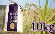 佐賀県産 特別栽培米 ヒノヒカリ10kg