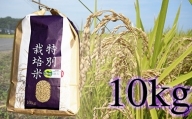 佐賀県産 特別栽培米 さがびより10kg