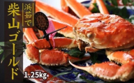 [先行予約][柴山がに 浜茹で 柴山ゴールド 柴山港認定ゴールドタグ付き 最高級柴山ガニ ボイル後重量1.25kg 冷蔵]令和7年11月中旬以降順次発送予定 水揚げ量が少ないため、お届けまでに数ヶ月お待ちいただく場合があります 1000匹に1匹水揚げされるかどうかの貴重なカニをご自宅で 高級 ふるさと納税 かにすき ガニ カニ 刺身 兵庫県 香美町 香住 柴山 カネニ 500000円 06-03