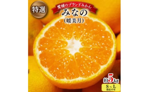 ＜2025年11月以降発送＞みなの共選・特選「みなの(旧:媛美月)」約5kg＜D28-1＞【1044600】