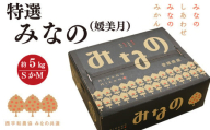 ＜2024年11月以降発送＞みなの共選・特選「みなの(旧:媛美月)」約5kg＜D28-1＞_ みかん ミカン 柑橘 くだもの 果物 フルーツ みなの 媛美月 ジューシー 甘い 贈答 ギフト プレゼント 希少 常温 デザート 産地直送 産直 愛媛 人気 光センサー 【1044600】