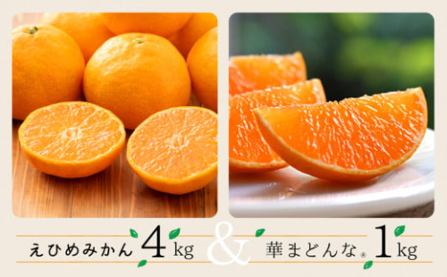 コウ果樹園の「 えひめみかん 4kg ・ 華まどんな 1kg 詰め合せ 」＜C33-12＞_ みかん ミカン 蜜柑 フルーツ 果物 くだもの 人気 美味しい 柑橘類 柑橘 愛媛県 八幡浜市 ふるさと 【1123769】