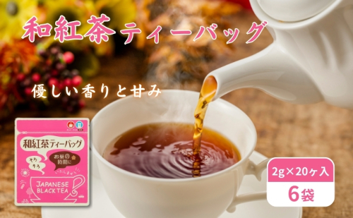 和紅茶ティーバッグ2g×20ヶ入×6袋 飲料類 お茶 セット  39453 - 静岡県森町