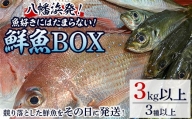 竹中水産の八幡浜発!「魚好きにはたまらない!鮮魚BOX」＜F22-135＞【1043165】