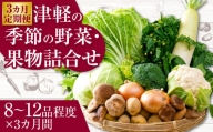 【３カ月定期便】津軽の季節の野菜・果物詰合せ　【02387-0008】