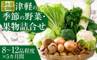 【５ヶ月定期便】津軽の季節の野菜・果物詰合せ　【02387-0010】