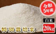 【令和5年産】特別栽培米 白米 20kg