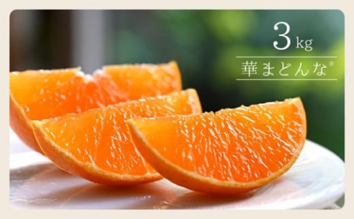 C33-22. コウ果樹園 「“幻の 柑橘 ” 華 まどんな 」 3kg 395089 - 愛媛県八幡浜市