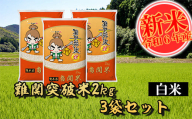 [令和6年産]難関突破米 白米 2kg×3 精米 熊本県 南関町産 単一原料米 ヒノヒカリ 産地直送 コメ お米 祈願米