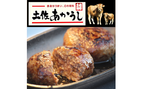 ttn175土佐あかうしハンバーグ5個 395770 - 高知県土佐町