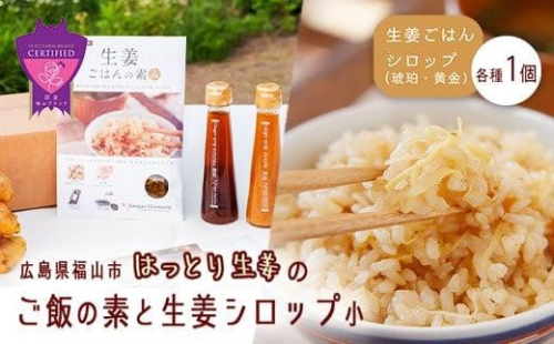 福山産 厳選素材の 生姜ごはんの素 とジンジャーシロップ100ml 2本 F21l 122 広島県福山市 Au Pay ふるさと納税