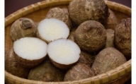 【数量限定】聖籠産砂里芋（さりいも）　３Ｌ・５kg