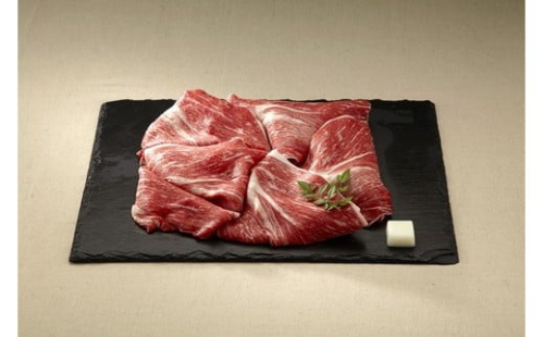 【B-27】飛騨牛モモ　すき焼き・しゃぶしゃぶ用【高島屋選定品】