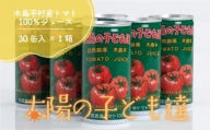 A009-06　木島平産トマト100％「太陽の子ども達」トマトジュース 190g  30本入 1箱
