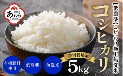 【令和5年産】特別栽培米 コシヒカリ 5kg 無洗米 低農薬 《食味値85点以上！こだわり極上無洗米》 / 福井県 あわら 北陸 米 お米 人気