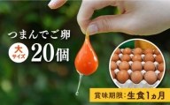 【プリップリな 卵黄 ！】 つまんでご卵 20個 セット 卵 たまご 糸島 / 緑の農園 [AGA008] ランキング 上位 人気 おすすめ