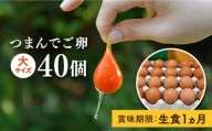 【プリップリな卵黄！】つまんでご卵 40個セット 卵 たまご 糸島 / 緑の農園 [AGA011] ランキング 上位 人気 おすすめ 生卵 鶏卵