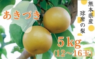 【発送時期：2024年8月下旬～9月上旬】熊本県ＪＡくま産　球磨の梨　あきづき 5kg（12玉～16玉）