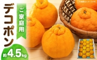 高松産季節の果物＜ご家庭用　デコポン＞約4.5kg【2025年2月下旬～2025年4月上旬配送】