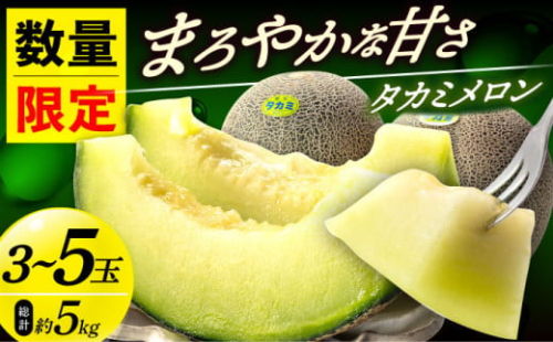 【先行予約】タカミメロン 約5kg（3～5玉）【2025年6月中旬～7月初旬発送予定】 [DAT001] タカミメロン フルーツ 人気 メロン めろん 15000円 以上 1万5千円 人気