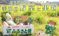 【鴨川直送ふるさと便】季節の野菜＆果物詰合せ　[0015-0043]