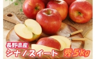 MS09-24A りんご シナノスイート（長野県産秀品） 5kg／10月中旬～10月下旬頃配送予定