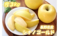 MS11-24A りんご シナノゴールド（長野県産秀品） 約3kg／10月下旬～11月下旬頃配送予定