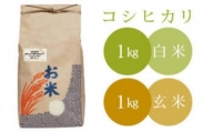 【ネット限定】椿さんのおいしいお米セット