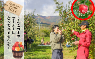 KO03-24A りんごの木のオーナー（シナノスイート）20kg限定／10月上旬～中旬頃収穫 //長野県 南信州 りんごオーナー りんごの木オーナー フジ 収穫体験