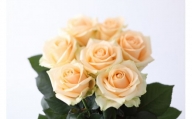 【定期便：12カ月】國枝バラ園から直送！Flower Bouquet（10本の花束）アプリコット系