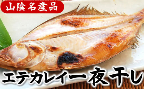 山陰名産エテカレイ一夜干し　6枚　兵庫県新温泉町　