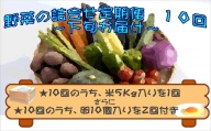 【I0-005】米5kgと卵20個付き！野菜の詰め合わせ定期便10回(下旬)【定期便】