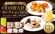 ODAWARAセレクションBOX ゼリー×3 ケーキ×5 焼き菓子 4種
