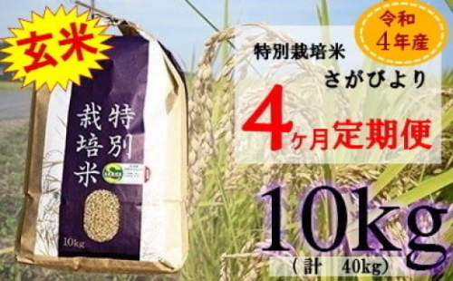 ZE-1 【4ヶ月連続お届け】佐賀県産 特別栽培米 さがびより10kg