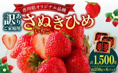 訳あり ご家庭用　さぬきひめいちご　約1.5kg【2024-11月上旬～2025-1月下旬配送】