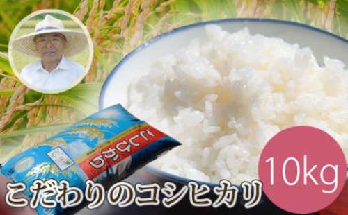 No.262 こだわりのコシヒカリ（白米）　10kg ／ お米 精米 こしひかり 広島県 特産品