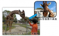 【A19-23】大牟田市動物園をひとりじめ！　完全プライベート動物園オンラインツアー！