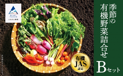 【有機JAS認定サラダ野菜】西田農園　季節の野菜詰合せ　Ｂセット 017002