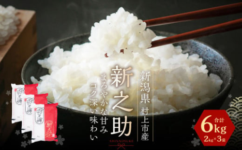 A4034【令和6年産米】村上市産新之助6kg
