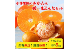 農業生産法人「株式会社小林果園」が、選りすぐりの愛媛の「柑橘」を寄付者様のお手元に産地直送でお届け致します。この機会に是非!ご賞味下さい。私共の「八幡浜産地」は、瀬戸内の暖かい潮風がみかん畑に行き渡り