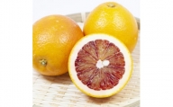 小林果園のブラッドオレンジ(約5kg)＜C24-24＞【1124430】