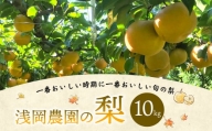 【2022年9月上旬より順次発送予定】浅岡農園の梨 10kg 豊水 秋月 新高 果物